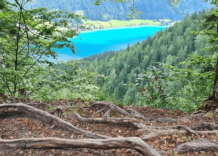 מלון Optimamed Gmbh 4*